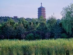 -永定河休闲森林公园