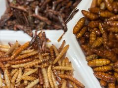 -白家寨子·山野白族菜(古城总店)