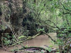 -怀托摩萤火虫洞