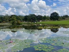-中国科学院西双版纳热带植物园