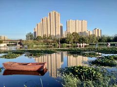 -前关湿地公园