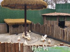 -保定市动物园