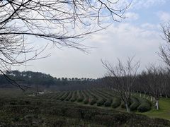 -凤凰沟景区