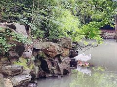 -兰亭风景区