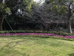 -吴淞炮台湾湿地森林公园烧烤区