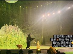 -灵玲国际马戏城