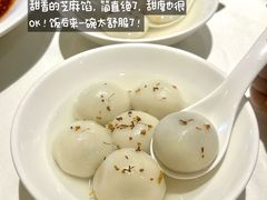 -尘香•传统川菜(创汇首座店)