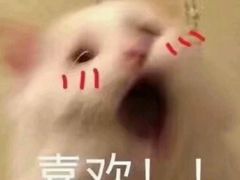 -南宁市连升风味小吃店