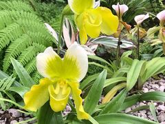 -华南国家植物园-售票处