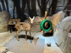 -酷嗒动物文化乐园(cutezoo西溪乐天城店)