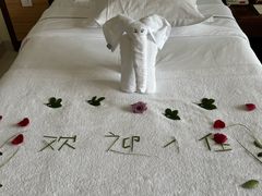 -三亚亚龙湾红树林度假酒店