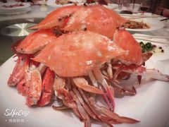 -大唐博相府酒店·陕西官府菜