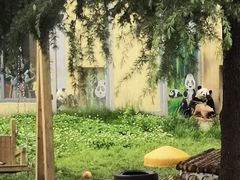 -西安秦岭野生动物园