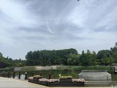 -大望京公园