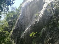 -旗山国家森林公园