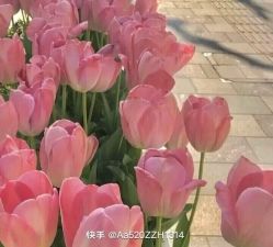 -HEYAN荷妍专业脱毛连锁机构