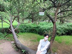 -贵阳市花溪国家城市湿地公园