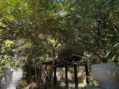 -广州从化都喜泰丽度假酒店温泉