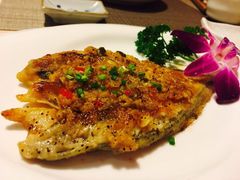 -割烹酱子日本料理(弘基财富广场店)