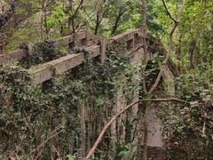 -青龙山国家森林公园