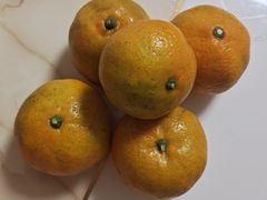 -品雅轩农家乐