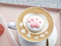-喵屿·大理花园猫咖