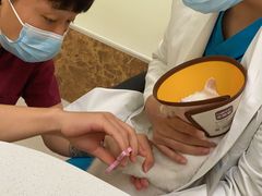 -美联众合24小时·皮肤科·外科·全科诊疗中心(华苑分院)