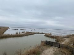 -盐城丹顶鹤湿地生态旅游区