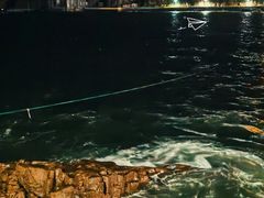 -枸杞岛