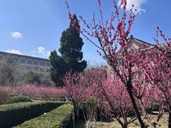 -山东师范大学(千佛山校区)