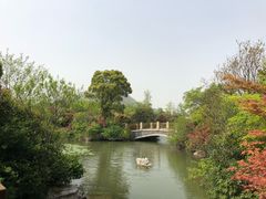 -桃花岛景观公园