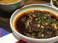 -铁公鸡·四川料理(天环广场店)