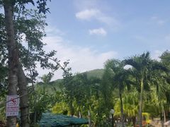 -100蛋泥浆浴