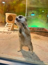 -酷嗒动物文化乐园(cutezoo西溪乐天城店)