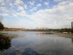 -洛龙公园