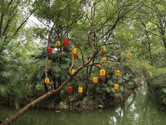 -西溪国家湿地公园