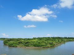 -东寨港红树林旅游区