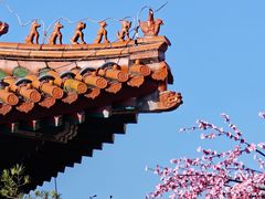 -珠海圆明新园