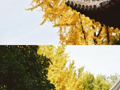 -龙华寺