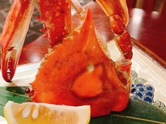 -宁波富力索菲特KOKO日本餐厅