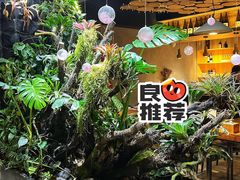 大堂-森味薪火烧•烧鸟居酒屋•日本料理(望京店)