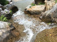-东莞植物园