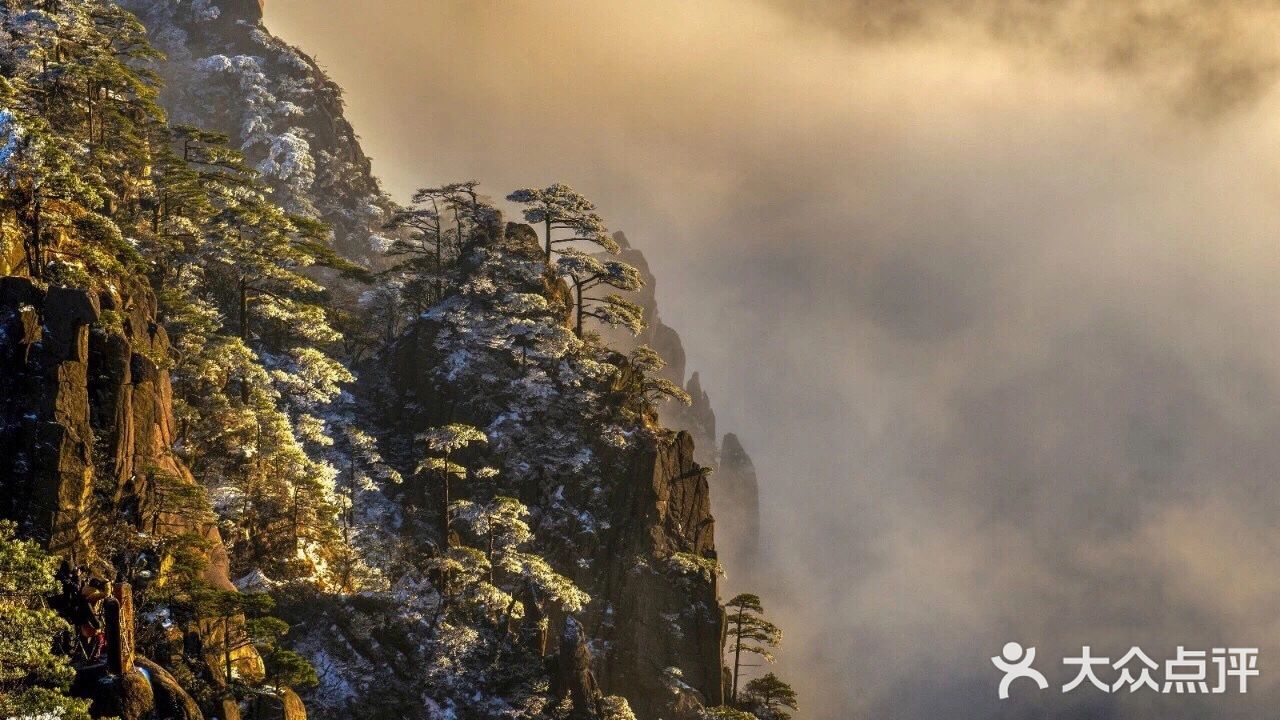 【博洋视线】 难忘黄山雪️ 云和雪都恋着这山峦