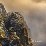 【博洋视线】 难忘黄山雪️ 云和雪都恋着这山峦