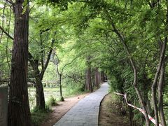 -东湖落雁景区