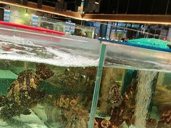 -阿伟海鲜楼·福建菜(延寿店)