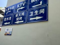 -桃源山庄·水蜜桃采摘·柴火鸡·烧烤团建(龙泉山店)