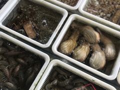 -红月湾海鲜饭店•沙滩海景(双月湾店)