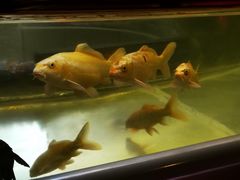 -中影国际影城(兰生大厦CINITY LED店)