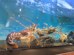 -西村日本料理(香格里拉饭店)